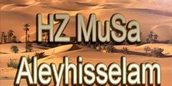 Hz. MUSA a.s.