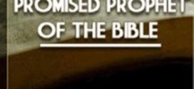 Promised Prophet of the Bibile